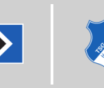 Hamburger SV vs 1899 Hoffenheim