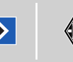 Hamburger SV vs Borussia M'gladbach