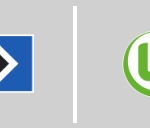 Hamburger SV vs VfL Wolfsburg