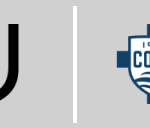 Juventus Torino vs Como Calcio 1907