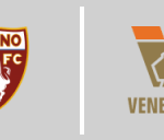 Torino F.C. vs Venezia F.C.