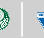 S.E. Palmeiras vs Fortaleza FC CE