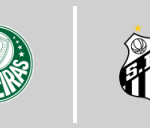 S.E. Palmeiras vs Santos F.C.